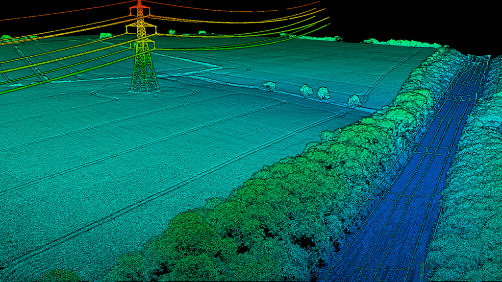 Cloud Point Surveying Trees and Environment