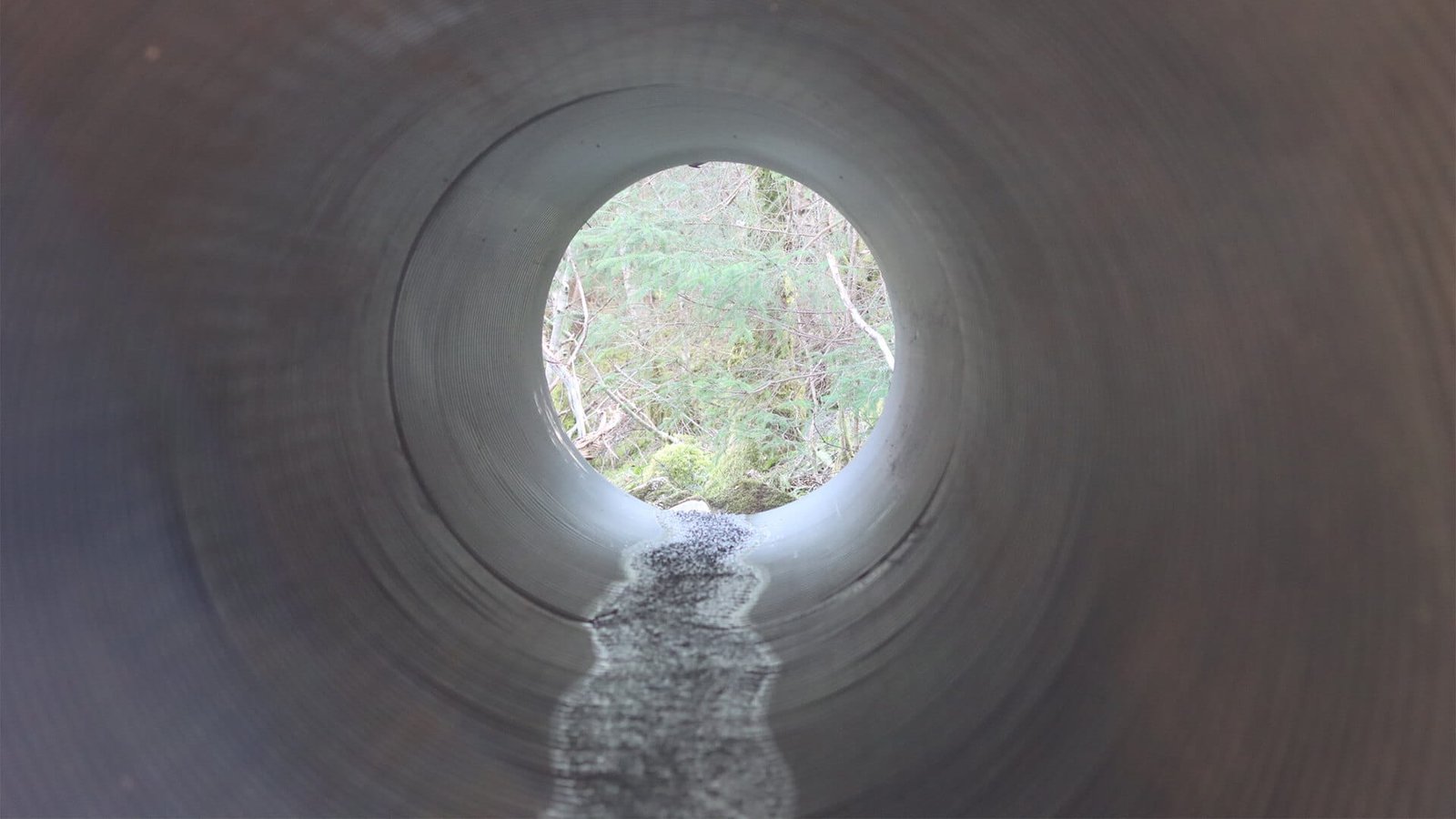 View through the inside of a large drainage pipe with a small stream of water flowing, looking out towards trees and foliage at the end.
