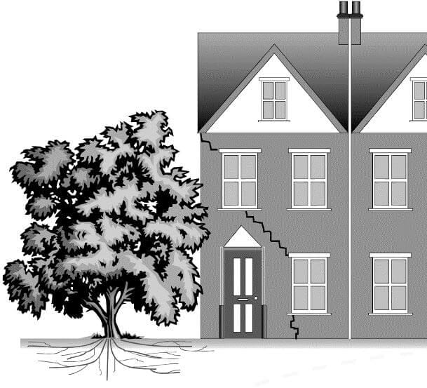 A black and white illustration of a two-storey house with visible cracks in the wall and a large tree with exposed roots beside it.